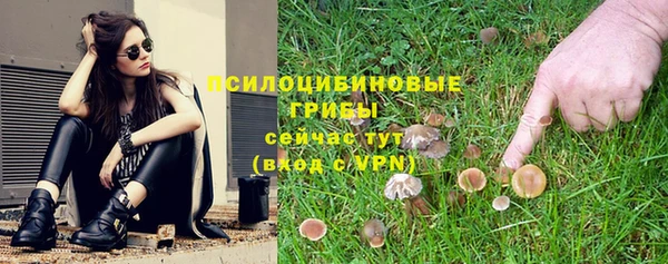 метадон Алексин