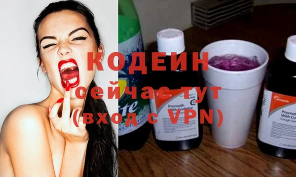 метадон Алексин