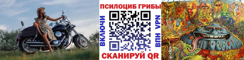 Галлюциногенные грибы мухоморы Аргун
