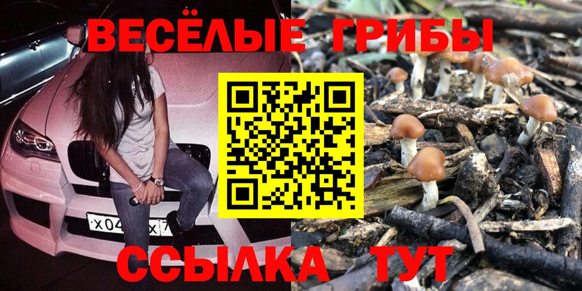 Псилоцибиновые грибы мухоморы Аргун