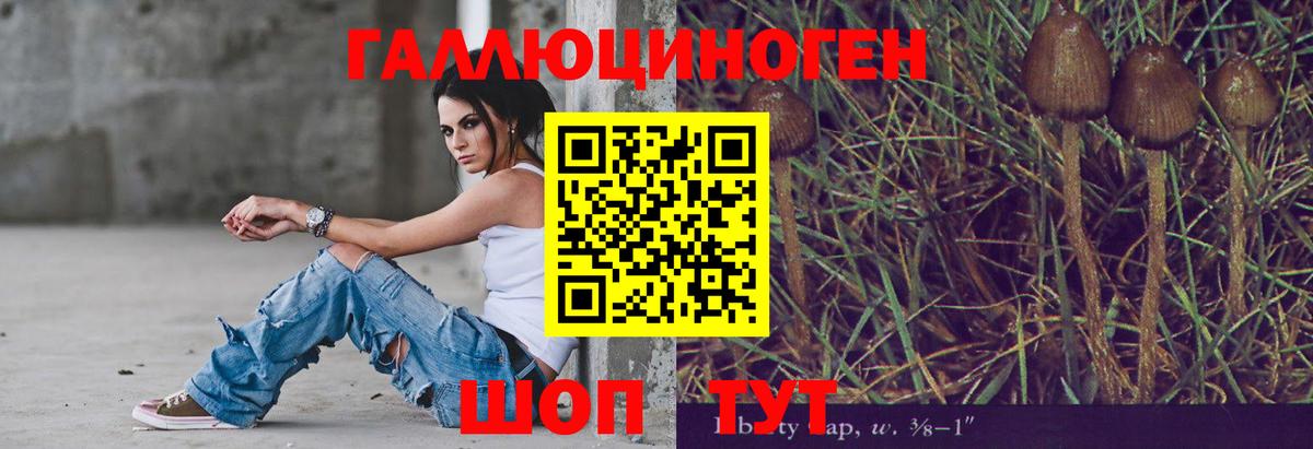 Галлюциногенные грибы MAGIC MUSHROOMS  Галлюциногенные грибы Magic Shrooms  Вход с VPN  Аргун 